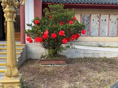 -江门古兜温泉小镇