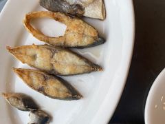 -陈鹏鹏潮汕菜(欢乐海岸 海边景观店)