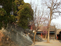 android_upload_pic-少林寺景区