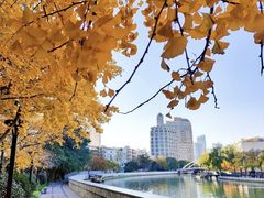 -苏州河梦清园环保主题公园