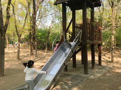 -塘沽森林公园