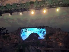 -夜间野生动物园
