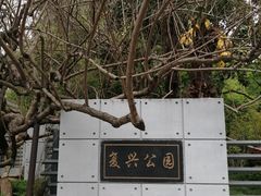 -复兴公园