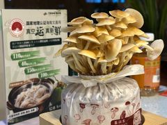 -烹然四季椰子鸡火锅(团结湖总店)