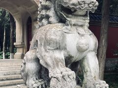 -灵谷景区