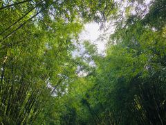 -晓港公园