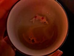 -张博士茗茶馆(外滩店)