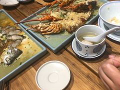 -椿不老