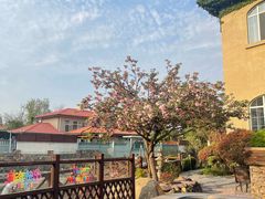 -芭东小镇温泉