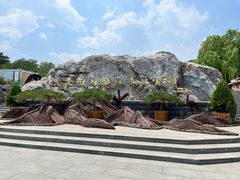 -北京西山国家森林公园