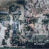 OneWedding丨属于你的花园婚礼