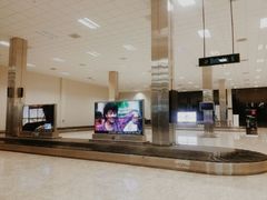 行李认领-班达拉奈克国际机场