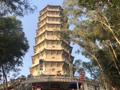 -深圳国际园林花卉博览园