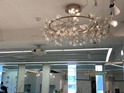 -潘多拉Hairsalon