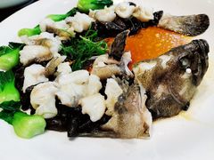 古法蒸龙胆鱼-樱苑(四川北路店)