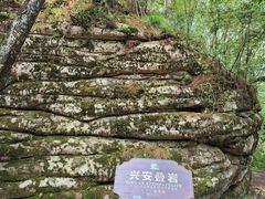 -汤旺河林海奇石景区
