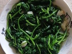-大班家政月嫂育儿嫂(深圳NO.1店)