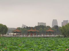 -长春市南湖公园