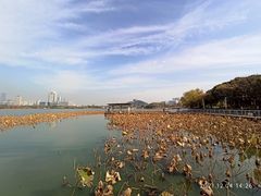 -月湖风景区
