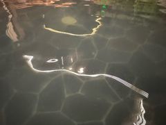 -古尔沟华美达温泉度假酒店