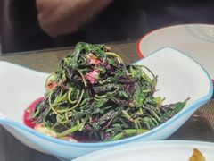 -陈厨老家菜馆(新苑店)