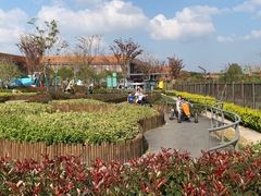 -季高兔窝窝亲子园(上海薰衣草公园店)