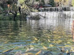 -丽江玉水寨