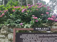 -寂照庵