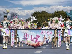 -荷兰花海