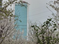 -西北湖绿化广场
