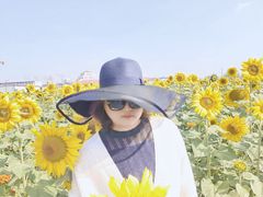 -映月湖中央公园