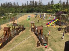 -上海长兴岛郊野公园