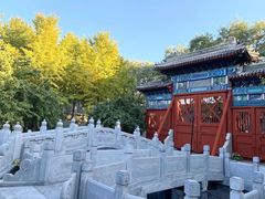 -北京市府学胡同小学