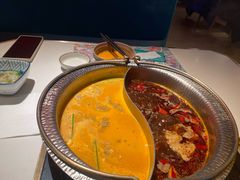 麻辣锅+冬阴功锅-温禾牛·和牛寿喜烧自助火锅(恒基名人店)