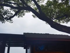 -西湖游船