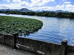 -杭州西湖柳莺里酒店·闻莺厅