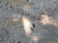 -鹫峰国家森林公园