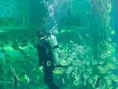 -顺德南宏海立方海洋公园