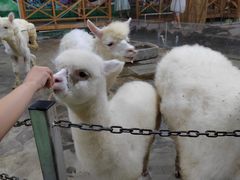 -上海大自然野生昆虫馆(东方明珠·爬宠昆虫探索中心)