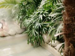 -咸宁万豪温泉谷度假区