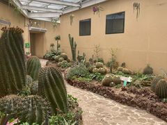 -正佳雨林生态植物园