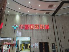 -武汉华夏国际影城(鲁广店)