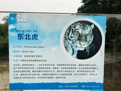 -深圳野生动物园