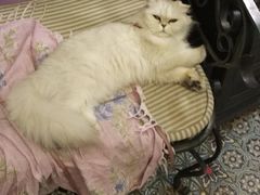 -广州迷途主题旅馆(海珠广场店)