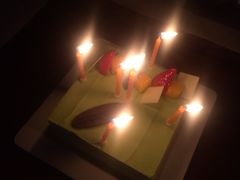 -壹点壹客·生日蛋糕(南山店)