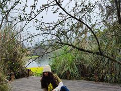 -桤木河湿地公园