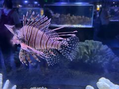 -海合安天津极地海洋公园