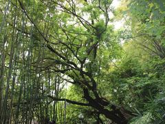 -人民公园(罗湖区)