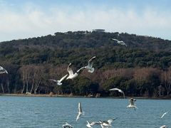 -水上明月·湖景餐厅
