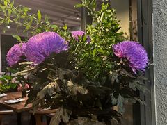 -Apollo·西班牙小酒馆(安福路店)